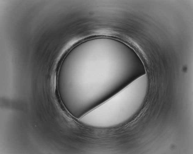 X0000099421323200805090742