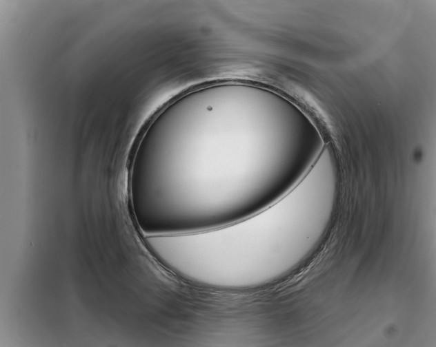X0000099421324200805090742