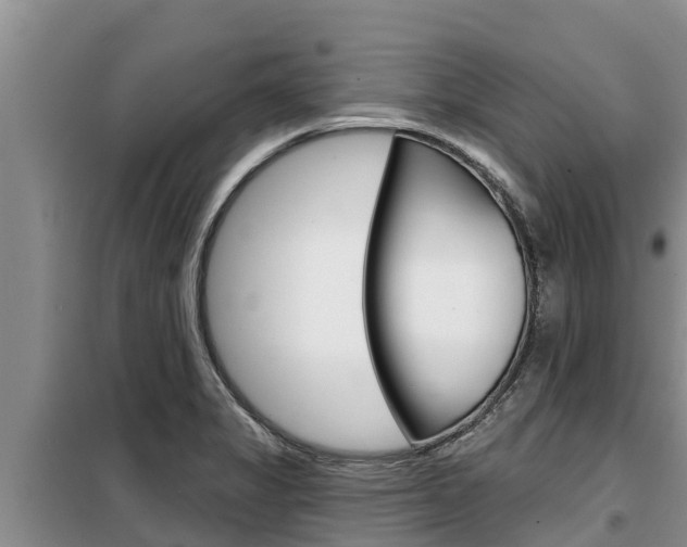 X0000099421325200805090742