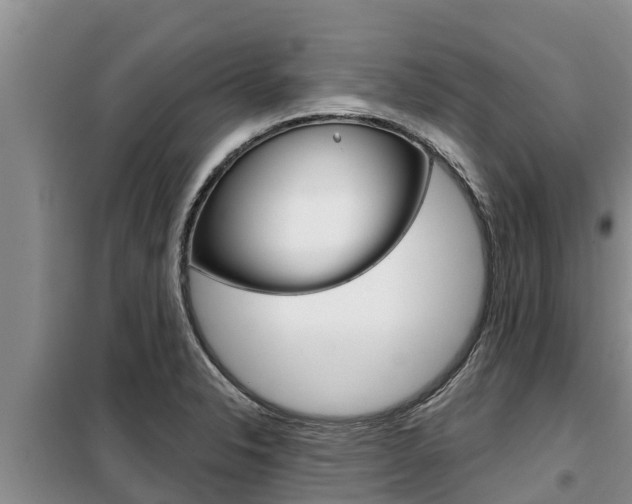 X0000099421326200805090742