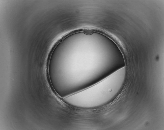 X0000099421327200805090742