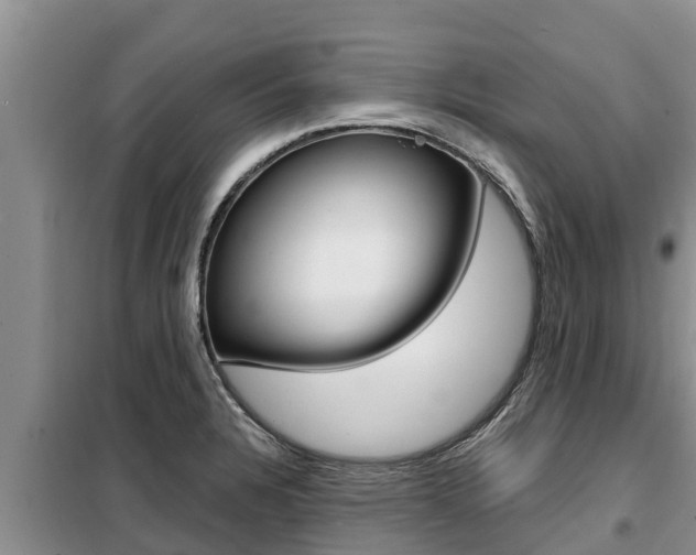 X0000099421328200805090742