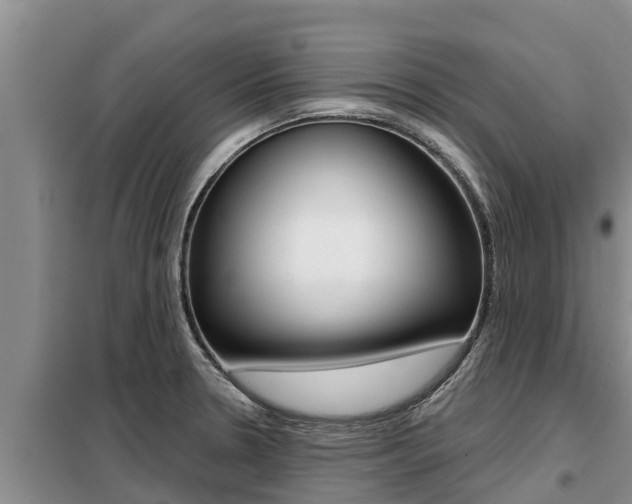 X0000099421330200805090742