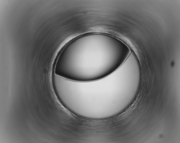 X0000099421331200805090742