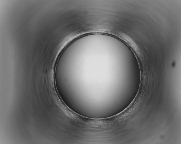X0000099421332200805090742