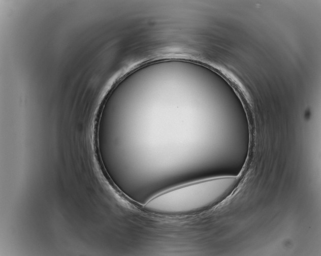 X0000099421333200805090742