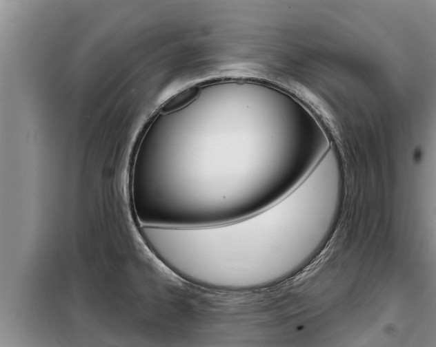 X0000099421334200805090742
