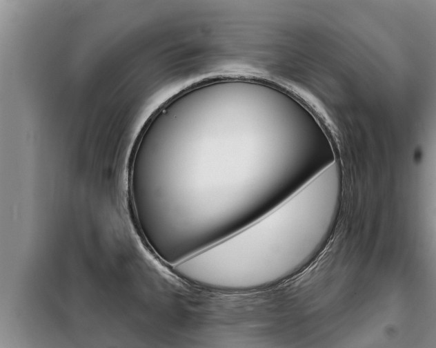 X0000099421335200805090742