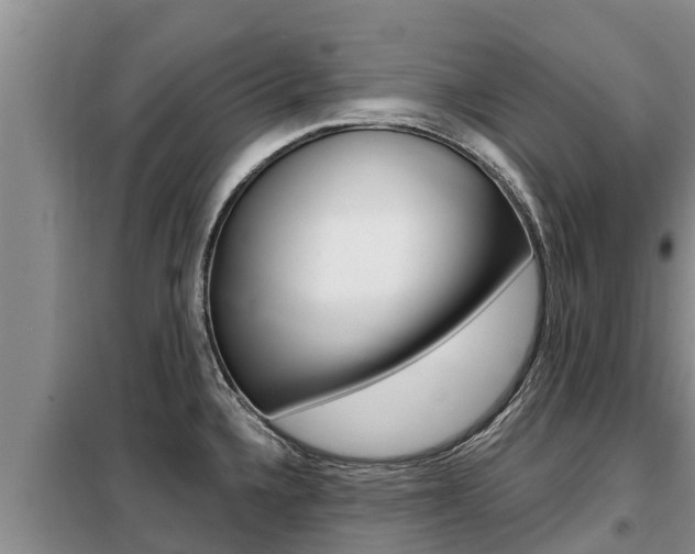 X0000099421336200805090742