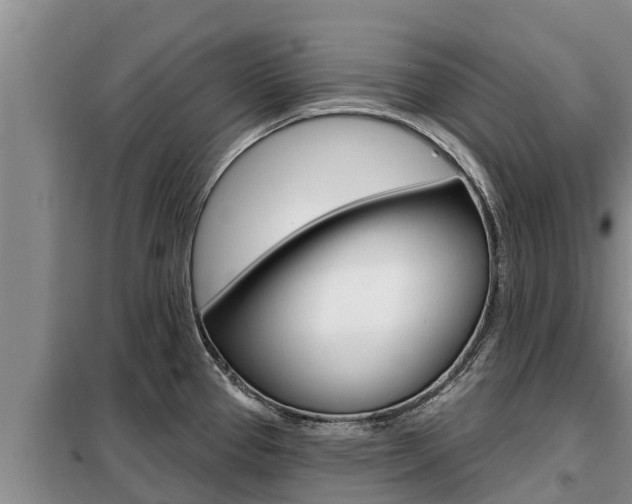 X0000099421337200805090742