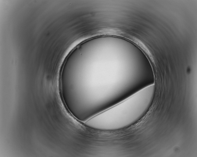 X0000099421339200805090742