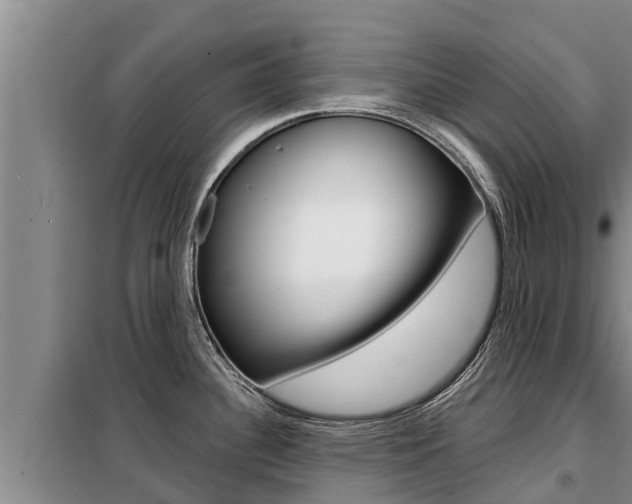 X0000099421340200805090742