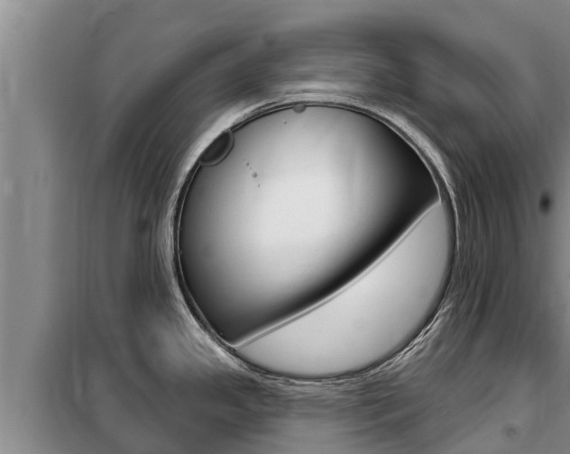 X0000099421341200805090742