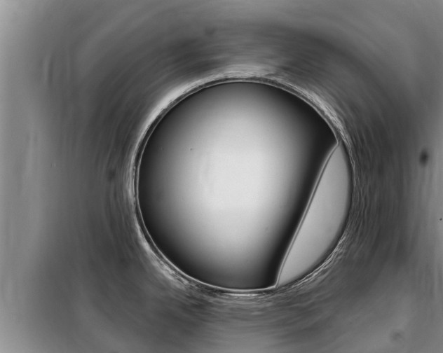 X0000099421342200805090742