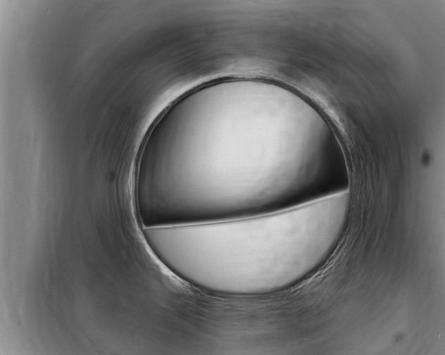 X0000099421343200805090742