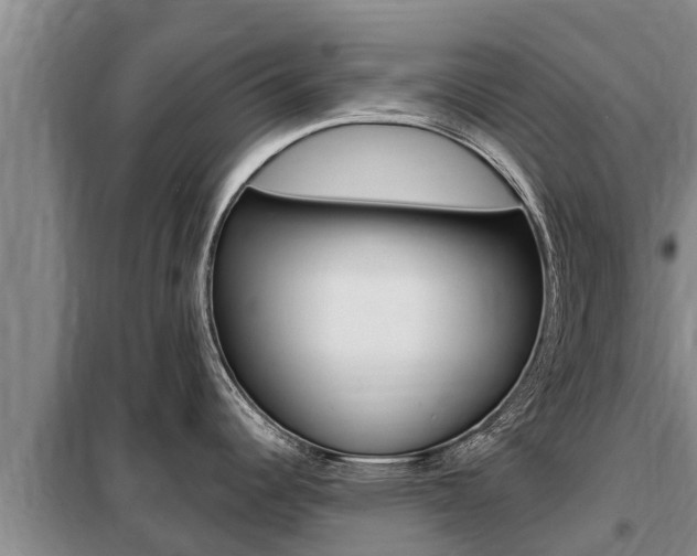 X0000099421344200805090742