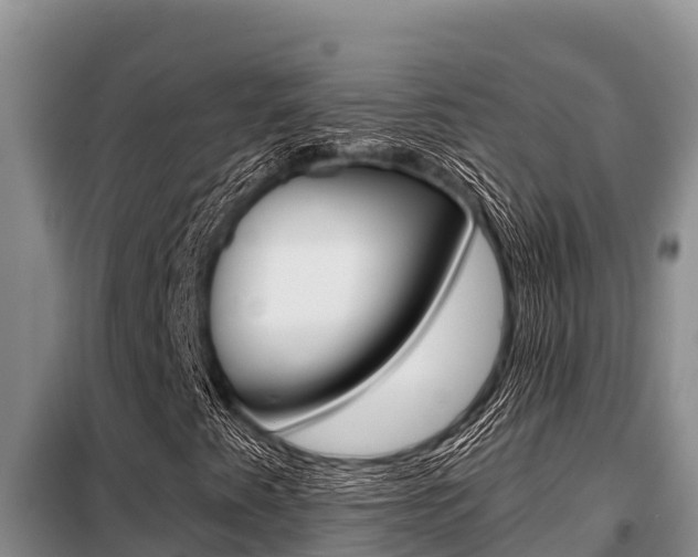 X0000099421345200805090741