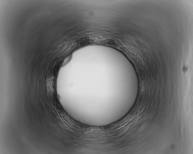 X0000099421346200805090741