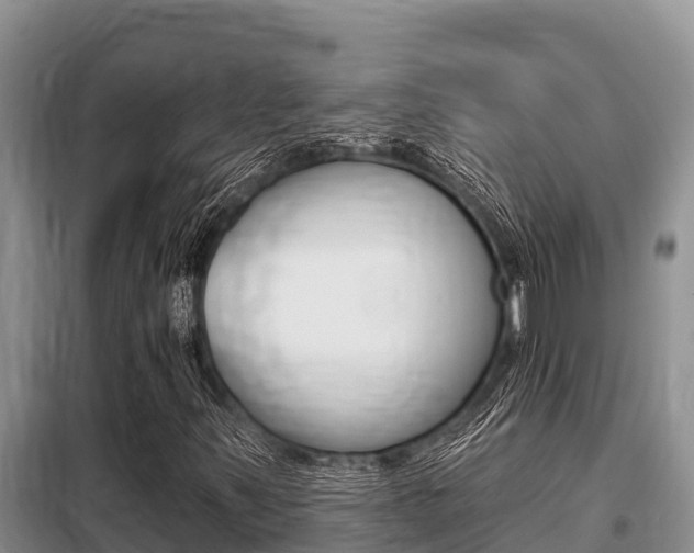 X0000099421347200805090741