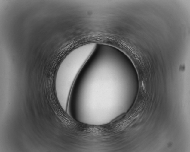 X0000099421348200805090741