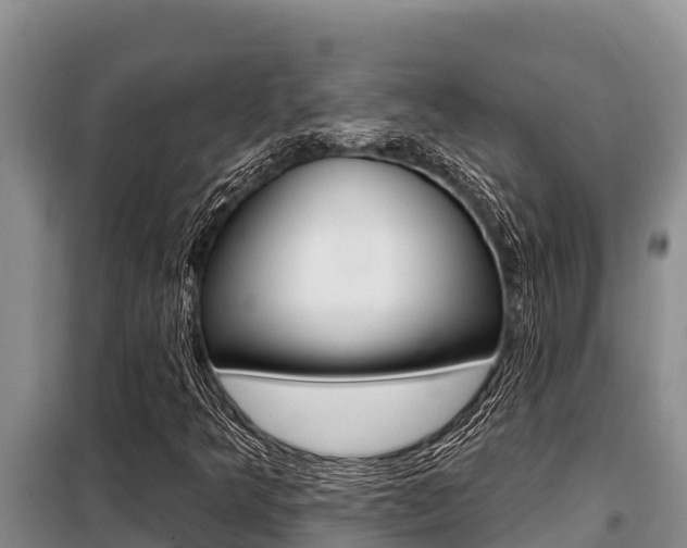 X0000099421349200805090741