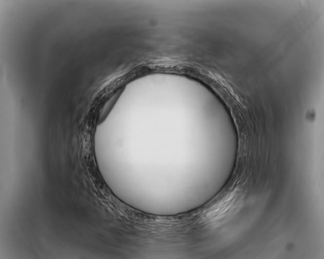 X0000099421350200805090741
