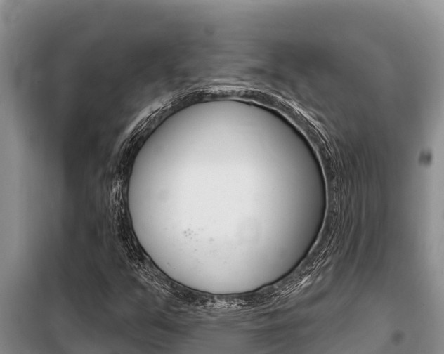 X0000099421351200805090741