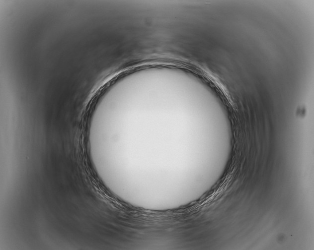 X0000099421352200805090741