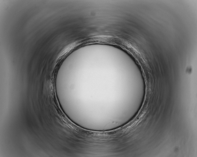 X0000099421354200805090741
