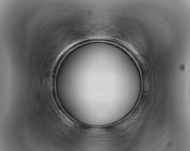 X0000099421356200805090741