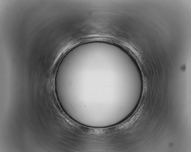 X0000099421357200805090741