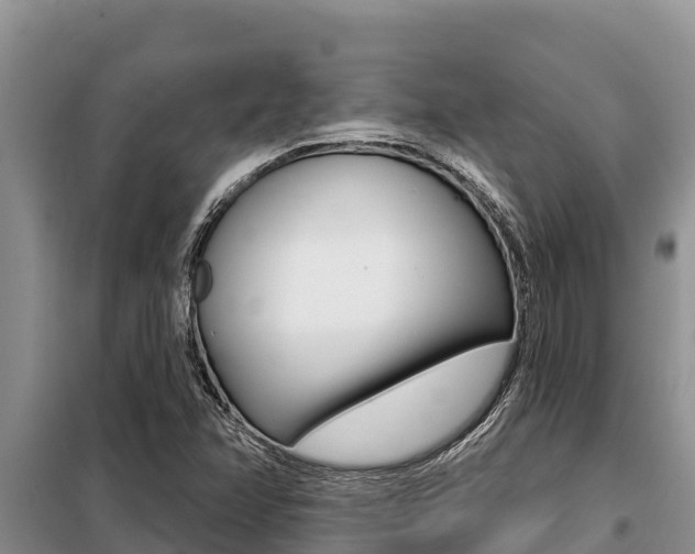 X0000099421358200805090741