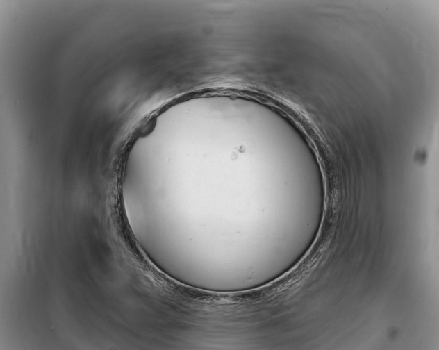 X0000099421359200805090741