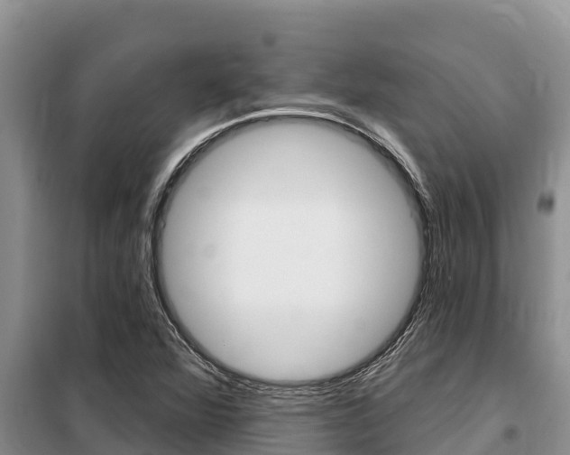 X0000099421360200805090741