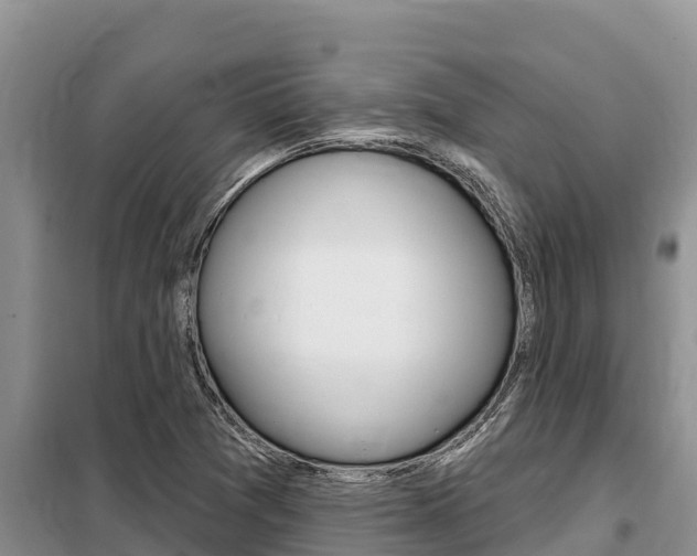 X0000099421361200805090741