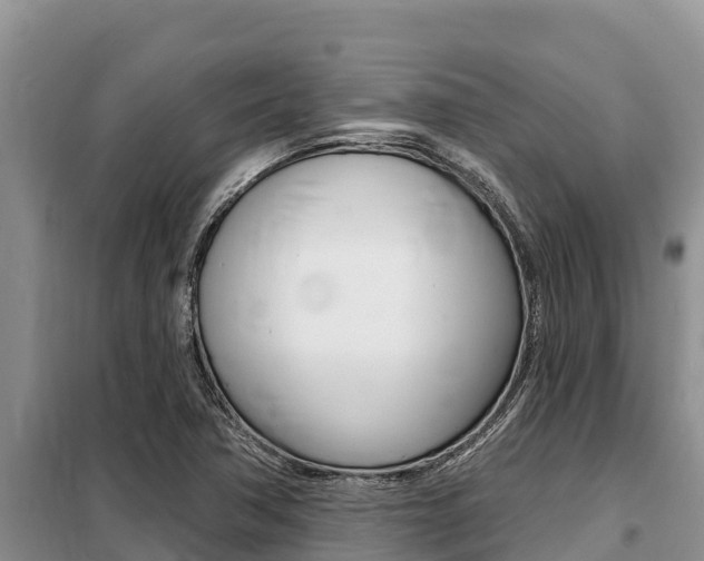 X0000099421362200805090741
