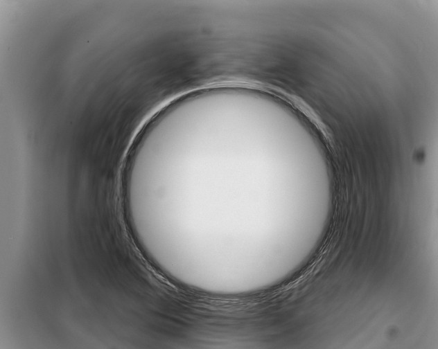 X0000099421364200805090741