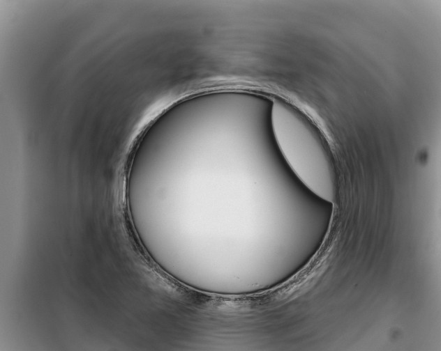 X0000099421365200805090741