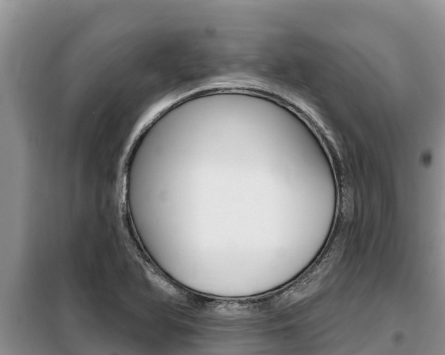 X0000099421366200805090741