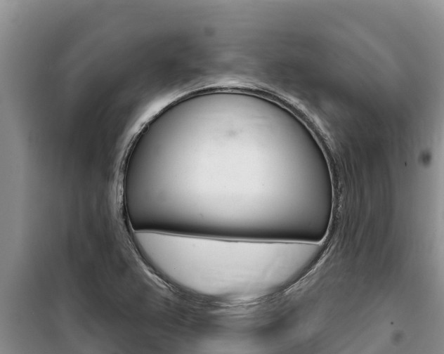 X0000099421367200805090741