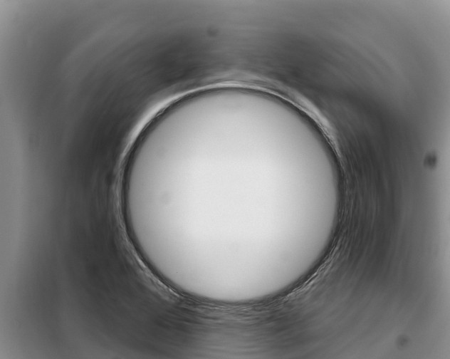 X0000099421368200805090741