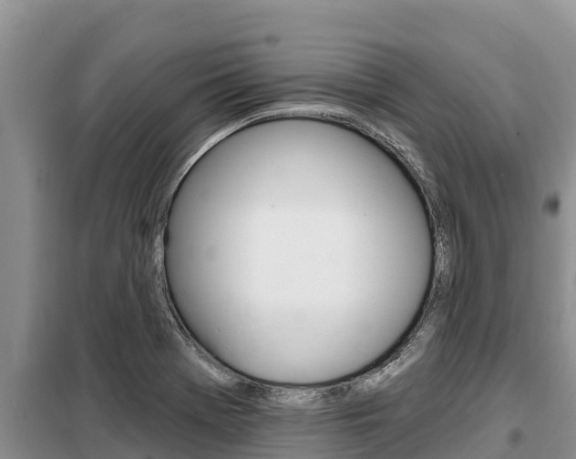 X0000099421369200805090741