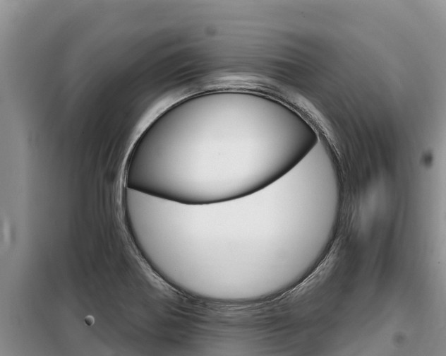 X0000099421370200805090741