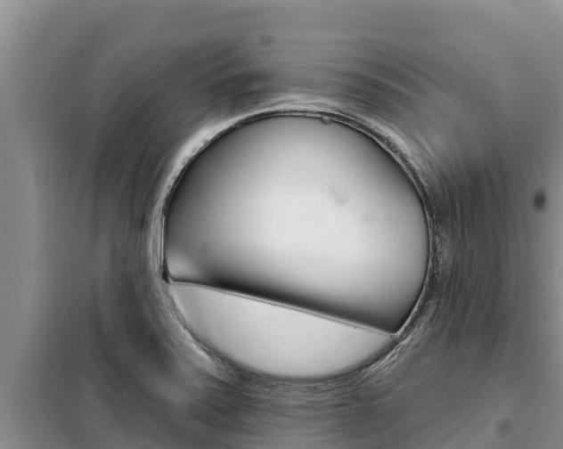X0000099421371200805090741
