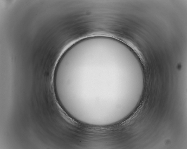 X0000099421372200805090741