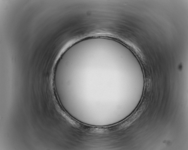 X0000099421374200805090741