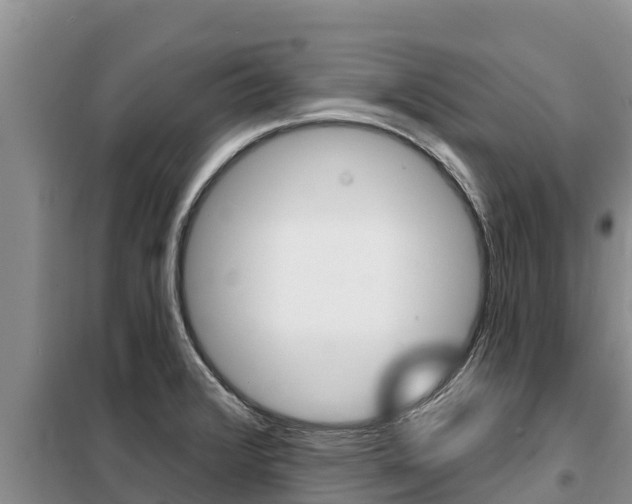 X0000099421376200805090741
