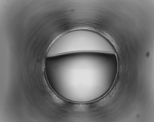 X0000099421377200805090741