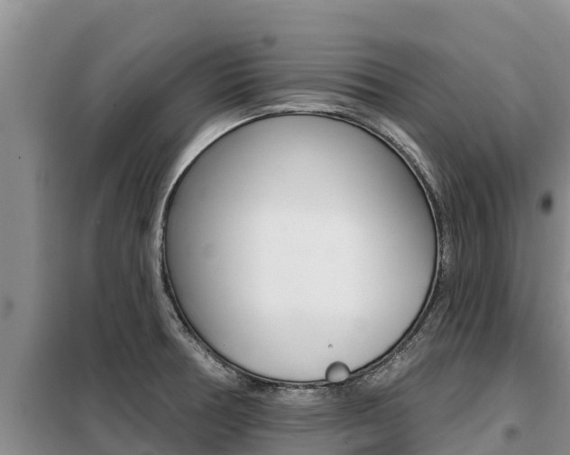 X0000099421378200805090741