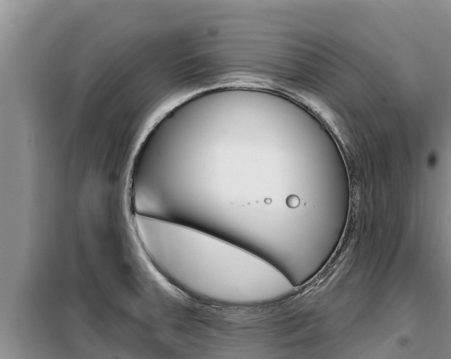 X0000099421379200805090741